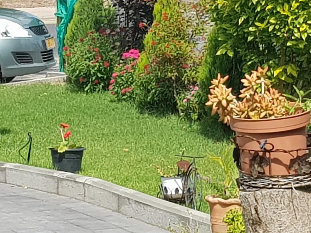 A Pastoral B & B Giv'at Ada 외부 사진
