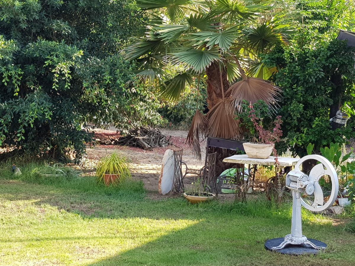 A Pastoral B & B Giv'at Ada 외부 사진